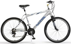 RALEIGH RALEIGH